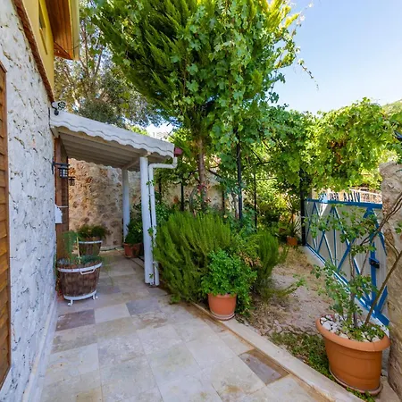 Orpheus- Kalkan Islamlarda Kiralik Islamlar (Mediterranean)